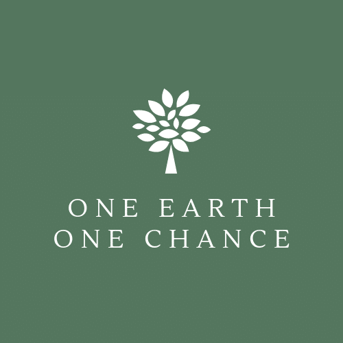 Nonprofit Spotlight:  One Earth One Chance