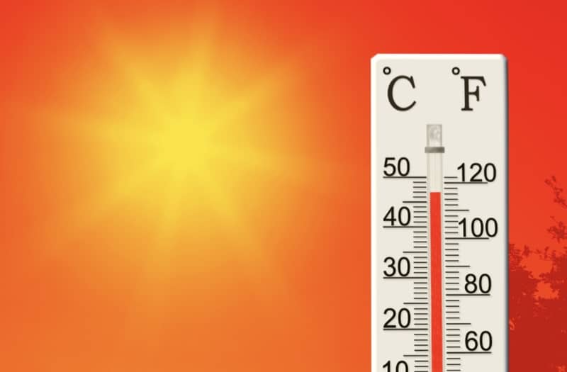 5 Ways to Help Your Neighbors During the Extreme Heat