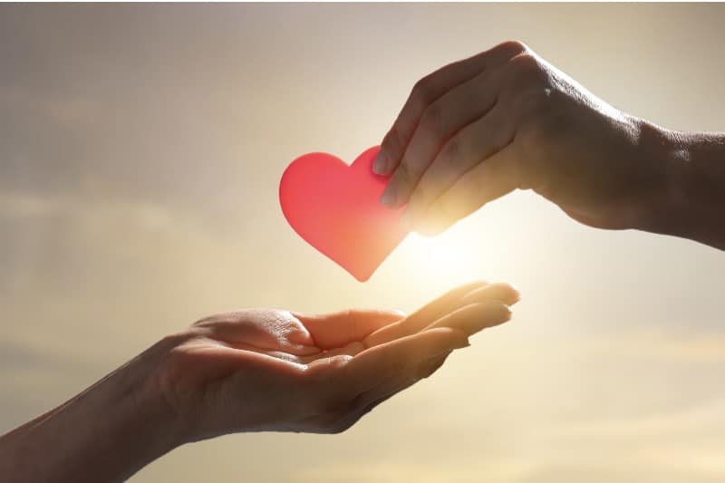 From the Heart: Give to Charities You Love